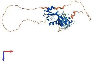 AlphaFold protein structure predicition of Mouse Recombinant Grap2 Protein, UniprotID O89100