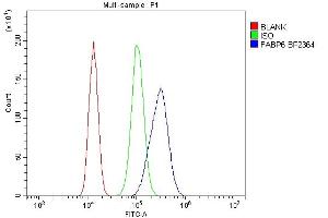 Flow Cytometry analysis of 293T cells using anti-FABP6 antibody (ABIN7598974).