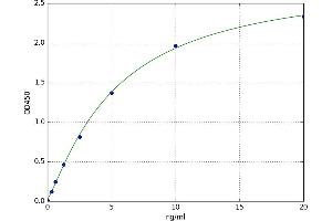 butyrophilin, Subfamily 2, Member A1 (BTN2A1) ELISA Kit