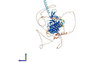 AlphaFold protein structure predicition of Human Recombinant EPB41L5 Protein, UniprotID Q9HCM4