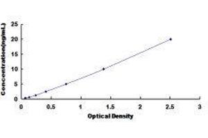 ELISA image for Glutamate Receptor Interacting Protein 1 (GRIP1) ELISA Kit (ABIN417237)