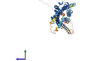 AlphaFold protein structure predicition of Mouse Recombinant Sstr1 Protein, UniprotID P30873
