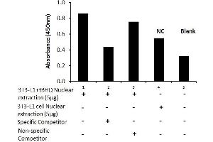 Transcription factor activity assay of mouse Nrf2 from nuclear extracts of 3T3-L1 cells or 3T3-L1 cells treated with tBHQ (90uM) for 24 hr with the specific competitor or non-specific competitor. (NRF2 Kit ELISA)