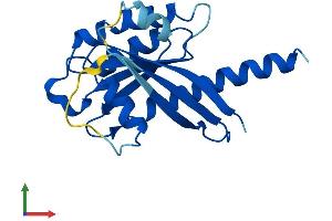 AlphaFold protein structure predicition of Human Recombinant IFT27 Protein, UniprotID Q9BW83