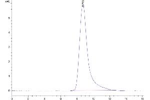 The purity of Biotinylated Human DLL4 is greater than 95 % as determined by SEC-HPLC.