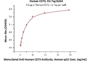 Immobilized Human CD73, His Tag (Hied) (ABIN6731289,ABIN6809998,ABIN6809999) at 2 μg/mL (100 μL/well) can bind Monoclonal A CD73 Antibody, Human IgG1 with a linear range of 0.