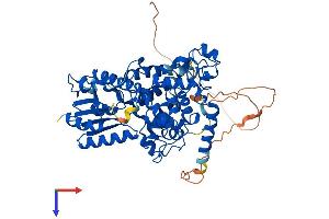 AlphaFold protein structure predicition of Human Recombinant CRY1 Protein, UniprotID Q16526