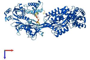 AlphaFold protein structure predicition of Mouse Recombinant Aldh1l2 Protein, UniprotID Q8K009