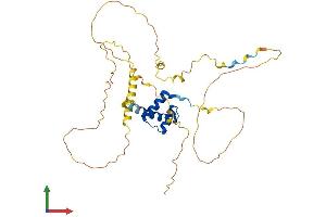 AlphaFold protein structure predicition of Human Recombinant HOXD11 Protein, UniprotID P31277