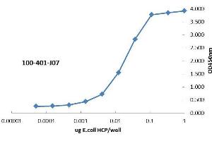ELISA of Rabbit anti-Host Cell Protein antibody. (HCP anticorps)
