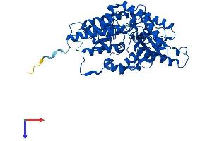 AlphaFold protein structure predicition of Mouse Recombinant Csad Protein, UniprotID Q9DBE0