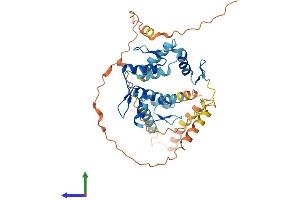 AlphaFold protein structure predicition of Human Recombinant ZNF24 Protein, UniprotID P17028