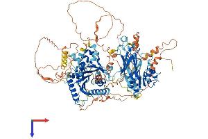 AlphaFold protein structure predicition of Human Recombinant PITPNM3 Protein, UniprotID Q9BZ71