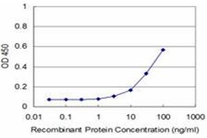 Detection limit for recombinant GST tagged FHIT is approximately 3ng/ml as a capture antibody. (FHIT anticorps  (AA 31-130))