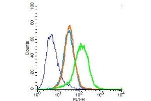 Human Jurkat cells probed with CD31 Polyclonal Antibody, Unconjugated  (green) at 1:100 for 30 minutes followed by a FITC conjugated secondary antibody compared to unstained cells (blue), secondary only (light blue), and isotype control (orange). (CD31 anticorps  (AA 601-680))