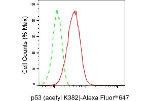 Flow cytometric analysis of p53 (acetyl K382) expression in HAP-1 cells using p53 (acetyl K382) antibody (ABIN7800683), 1:2,000). (Recombinant p53 anticorps  (acLys382))
