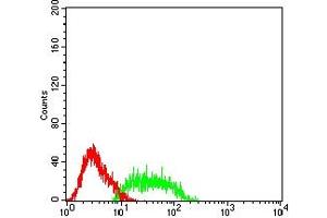 Flow cytometric analysis of HL-60 cells using SSTR2 mouse mAb (green) and negative control (red).