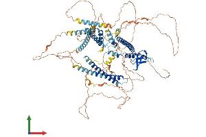 AlphaFold protein structure predicition of Human Recombinant MYRIP Protein, UniprotID Q8NFW9
