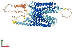 AlphaFold protein structure predicition of Mouse Recombinant Slc43a2 Protein, UniprotID Q8CGA3