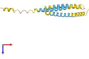 AlphaFold protein structure predicition of Mouse Recombinant Ninj2 Protein, UniprotID Q9JL89