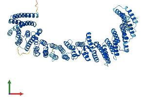 AlphaFold protein structure predicition of Human Recombinant VPS35 Protein, UniprotID Q96QK1