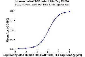 Immobilized Human Latent TGF beta 1, His Tag at 2 μg/mL (100 μL/well) on the plate.