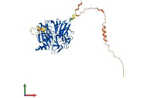 AlphaFold protein structure predicition of Human Recombinant SERGEF Protein, UniprotID Q9UGK8