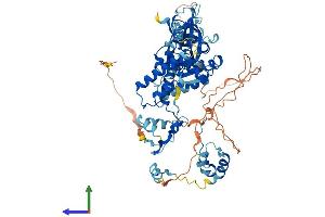AlphaFold protein structure predicition of Mouse Recombinant Mta2 Protein, UniprotID Q9R190