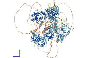 AlphaFold protein structure predicition of Human Recombinant ARAP3 Protein, UniprotID Q8WWN8
