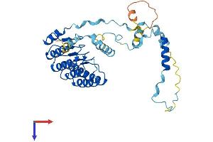 AlphaFold protein structure predicition of Human Recombinant TMOD2 Protein, UniprotID Q9NZR1
