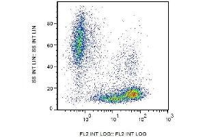 Surface staining of human peripheral blood cells with anti-human CD99 (3B2/TA8) PE.
