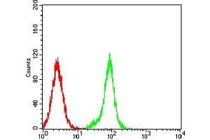 Flow cytometric analysis of SK-OV-3 cells using SP17 mouse mAb (green) and negative control (red).