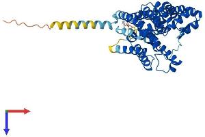 AlphaFold protein structure predicition of Human Recombinant ALG3 Protein, UniprotID Q92685