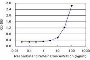 Sandwich ELISA detection sensitivity ranging from 1 ng/mL to 100 ng/mL. (PPP2R3B (Humain) Matched Antibody Pair)