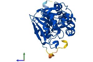 AlphaFold protein structure predicition of Human Recombinant PPP2CB Protein, UniprotID P62714