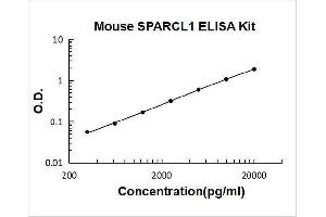 SPARC-Like 1 (Hevin) (SPARCL1) ELISA Kit