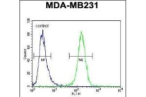C4orf34 Antibody (C-term) (ABIN651629 and ABIN2840335) flow cytometric analysis of MDA-M cells (right histogram) compared to a negative control cell (left histogram). (SMIM14 anticorps  (C-Term))