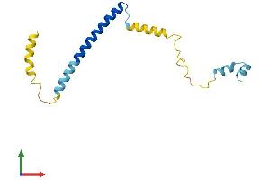 AlphaFold protein structure predicition of Human Recombinant CPLX1 Protein, UniprotID O14810
