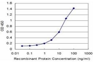 Detection limit for recombinant GST tagged USP9X is approximately 0. (USP9X anticorps  (AA 1-90))