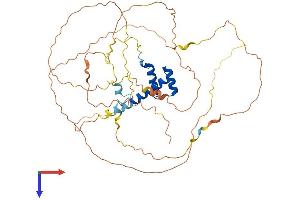 AlphaFold protein structure predicition of Mouse Recombinant Hlx Protein, UniprotID Q61670