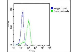 Overlay histogram showing K562 cells stained with (ABIN653273 and ABIN2842789)(green line).