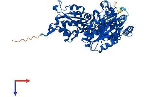 AlphaFold protein structure predicition of Human Recombinant HACL1 Protein, UniprotID Q9UJ83