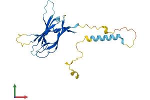 AlphaFold protein structure predicition of Human Recombinant NICN1 Protein, UniprotID Q9BSH3