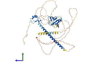 AlphaFold protein structure predicition of Human Recombinant DEAF1 Protein, UniprotID O75398