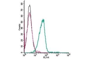 Cell surface detection of ATP1B2 by indirect flow cytometry in live intact mouse BV-2 microglia cells: (black line) Cells.