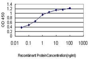 Detection limit for recombinant GST tagged RNF127 is approximately 0. (LONRF3 anticorps  (AA 1-90))