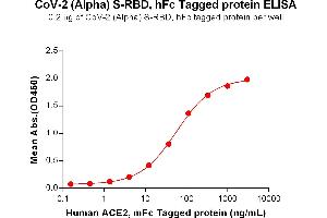 ELISA plate pre-coated by 2 μg/mL (100 μL/well) SARS-CoV-2 (Alpha) S protein RBD, hFc Tag (ABIN7455407, ABIN7490637 and ABIN7490638) can bind Human Protein, mFc Tag ABIN6961130, ABIN7042289 and ABIN7042290 in a linear range of 4.