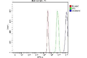 Flow Cytometry analysis of C6 cells using anti-HnRNP H/HNRNPH1 antibody (ABIN4886623). (HNRNPH1 anticorps  (N-Term))