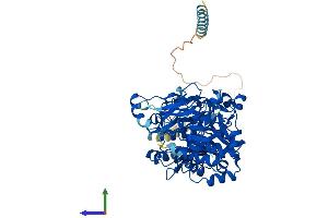 AlphaFold protein structure predicition of Human Recombinant GALNT17 Protein, UniprotID Q6IS24