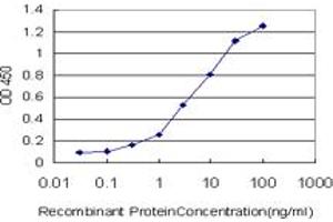 Detection limit for recombinant GST tagged ZNF259 is approximately 0. (ZNF259 anticorps  (AA 361-459))